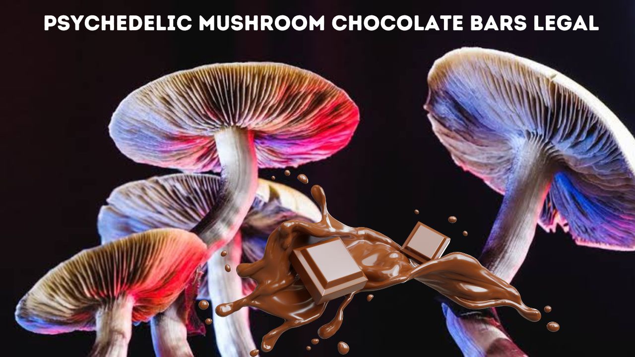 Psychedelic Mushroom Chocolate Bars Legal